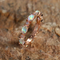Eclipse Opal Ring